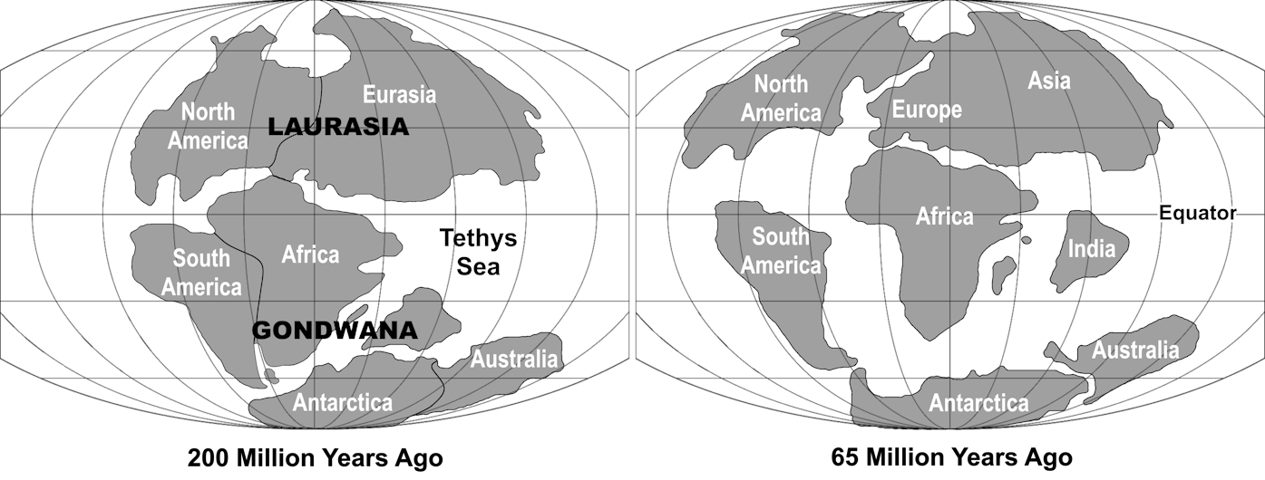 Pangaea